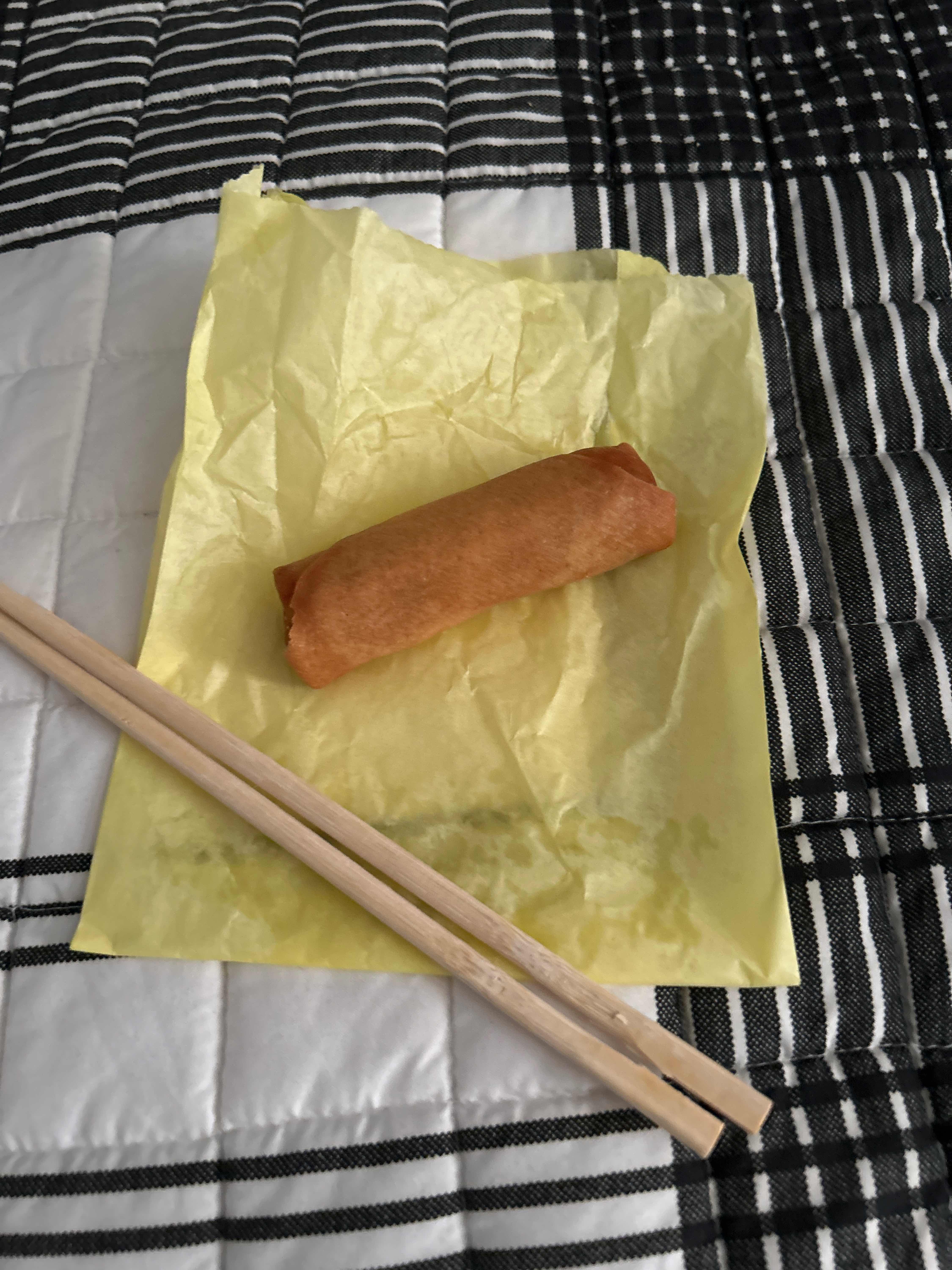 Veggie Spring Roll (1)