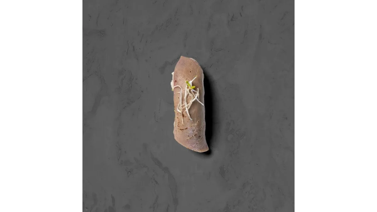 Nigiri Flamberet Tun