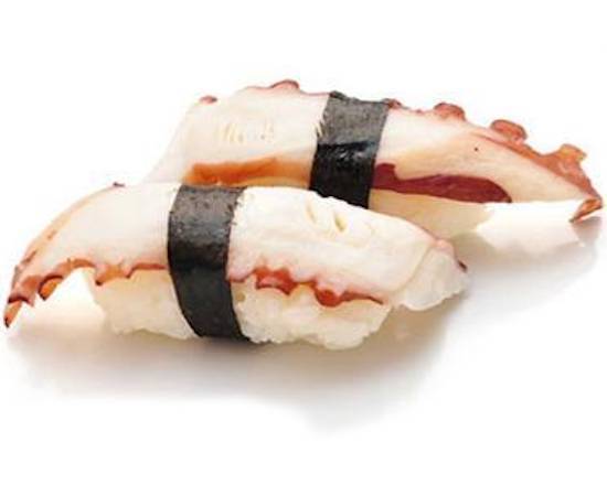 Octopus Tako