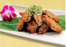 Shogun Wings