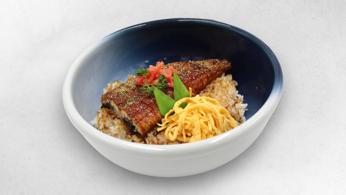 Unagi Don