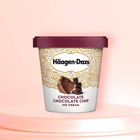 Haagen Dazs Chocolate Chocolate Chip