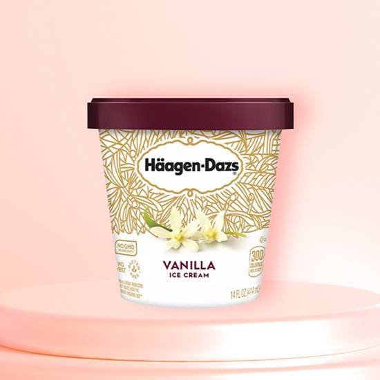 Haagen Dazs Vanilla Bean