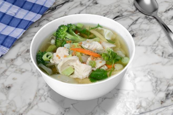 Chicken and Vegetable Soup