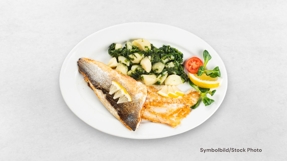 Gegrilltes Zanderfilet