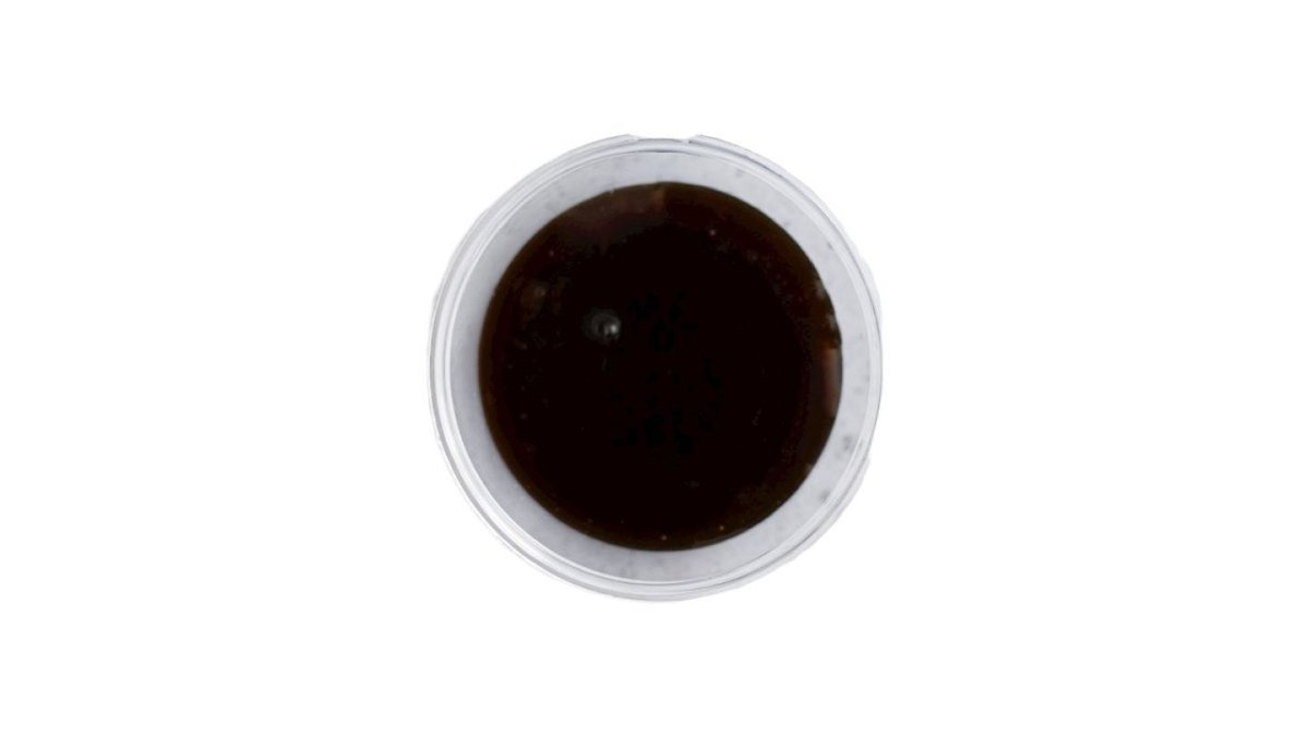 BBQ Sauce