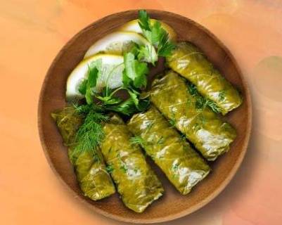 Dolma Drive