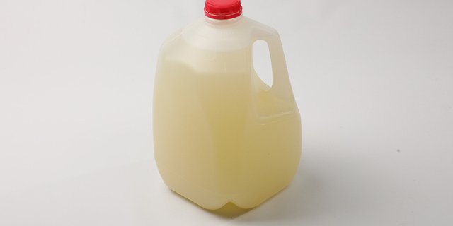 Gallon Lemonade