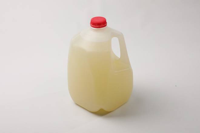 Gallon of Lemonade