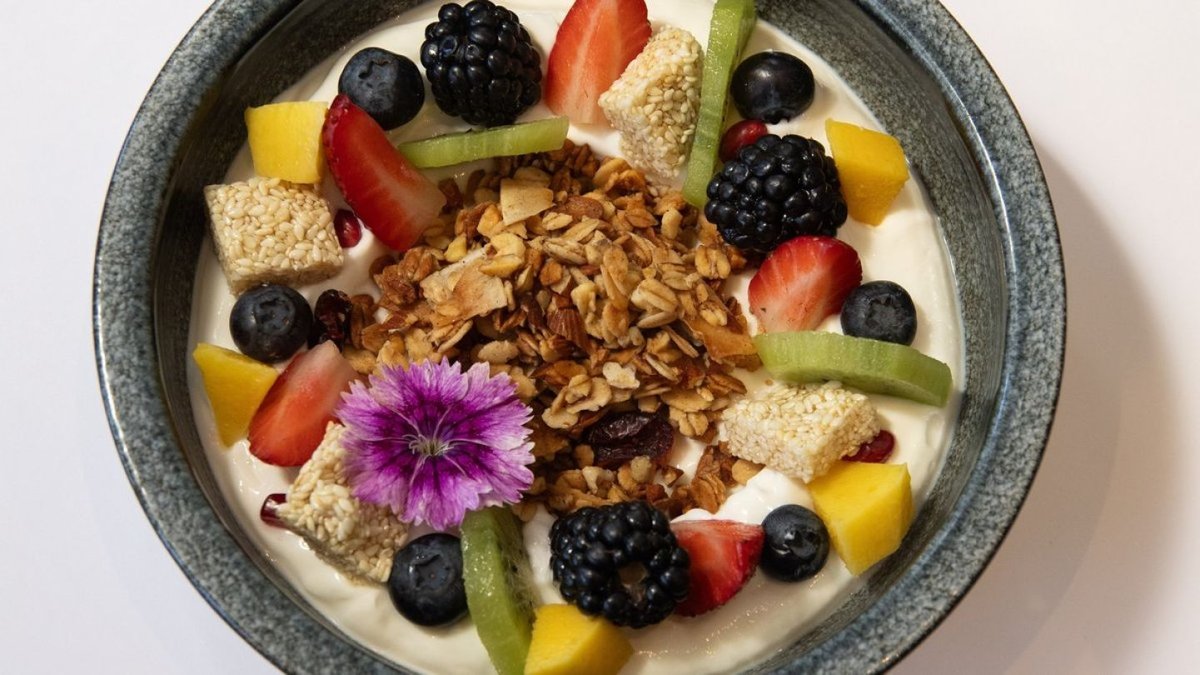 Yogurt Oasis