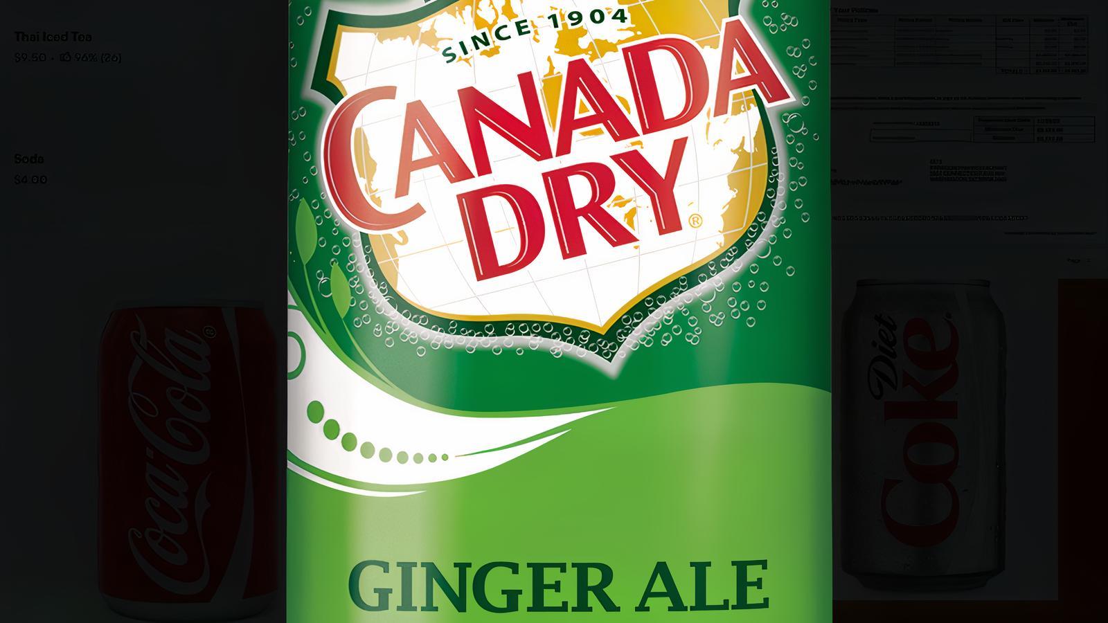 Ginger Ale (can)