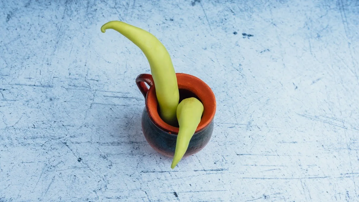 Ljuta paprika 2 komada