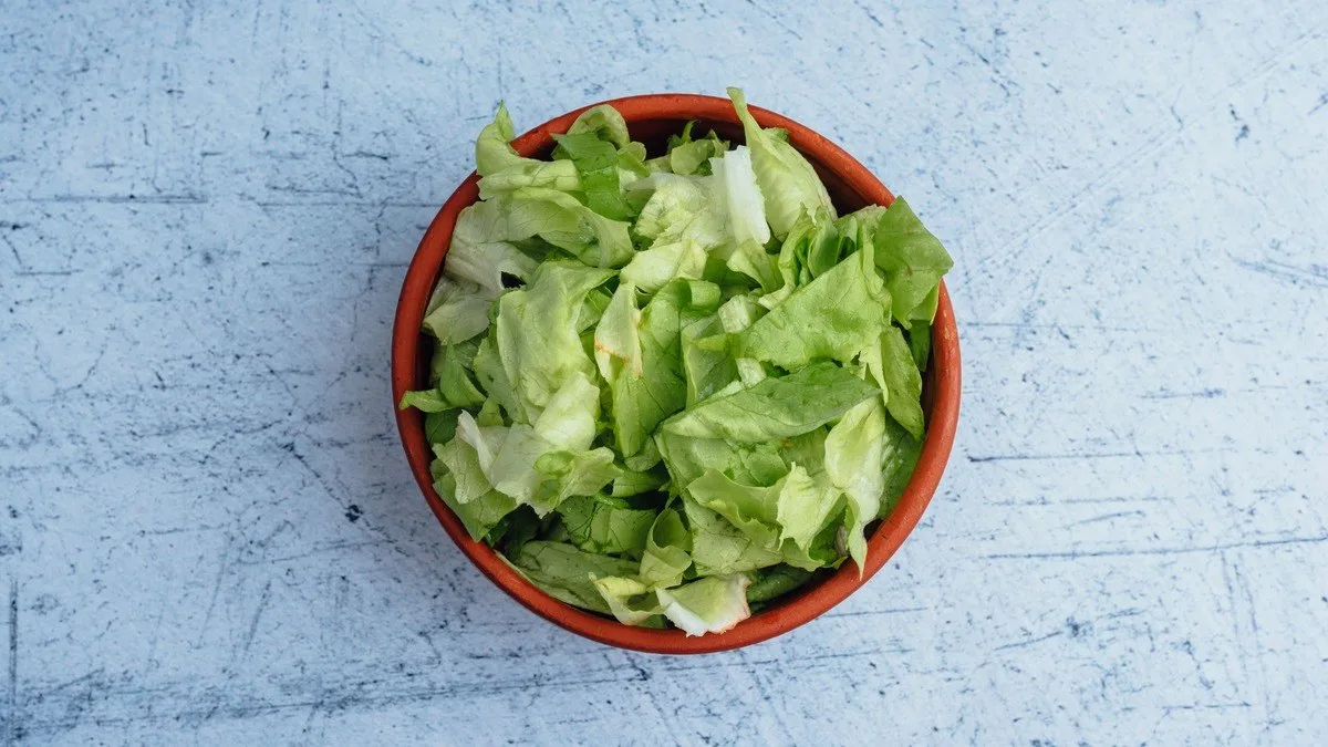 Zelena salata
