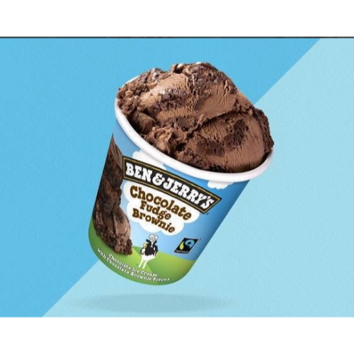 Ben and Jerry's Chocolate Fudge Brownie 458ml