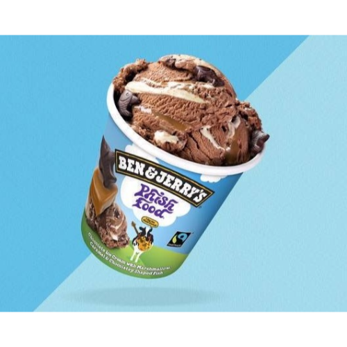 Ben and Jerry's Phish Food 458ml