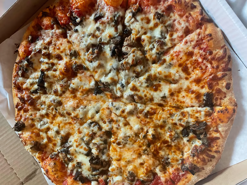 Funghi