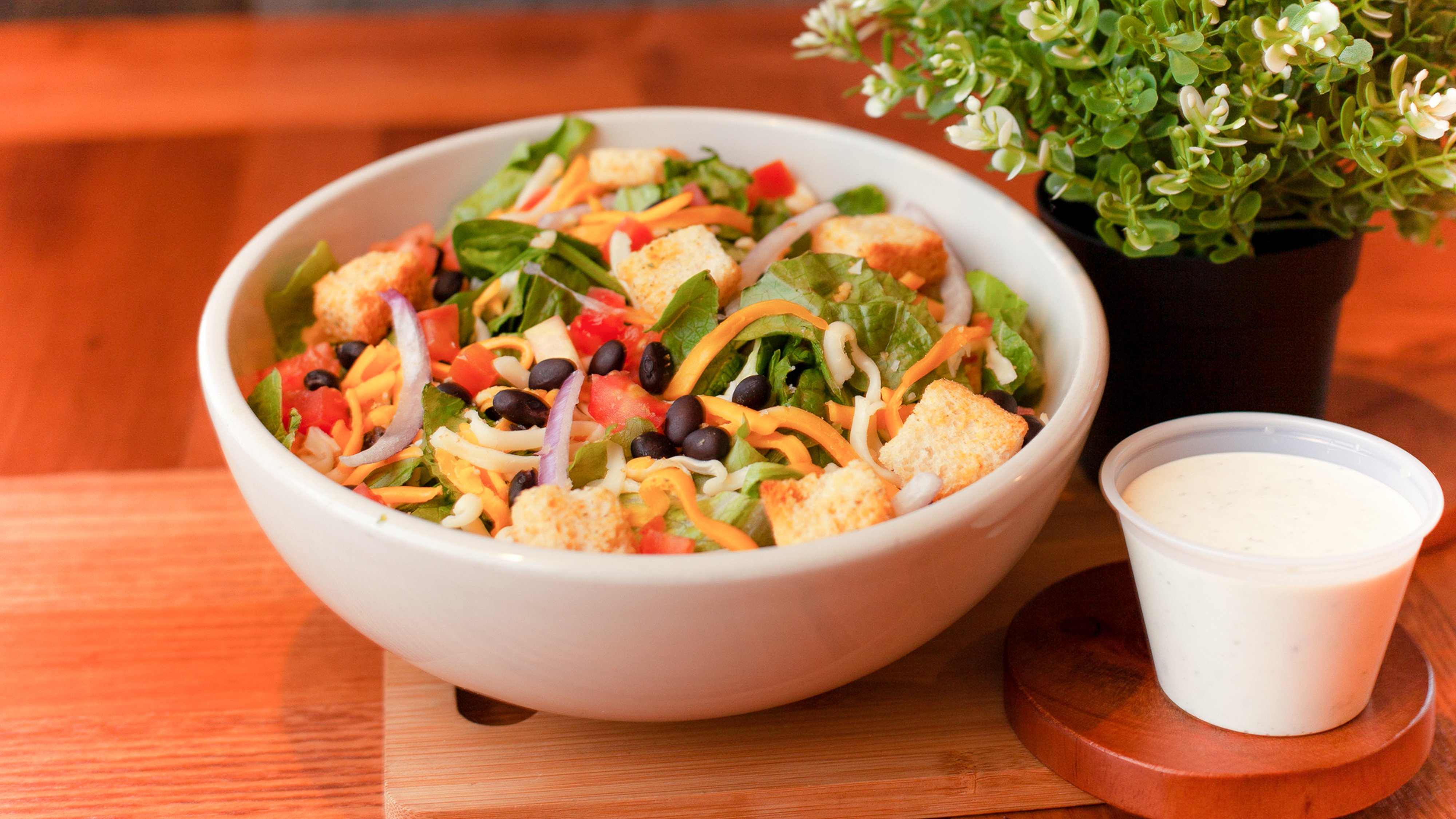 Garden Salad