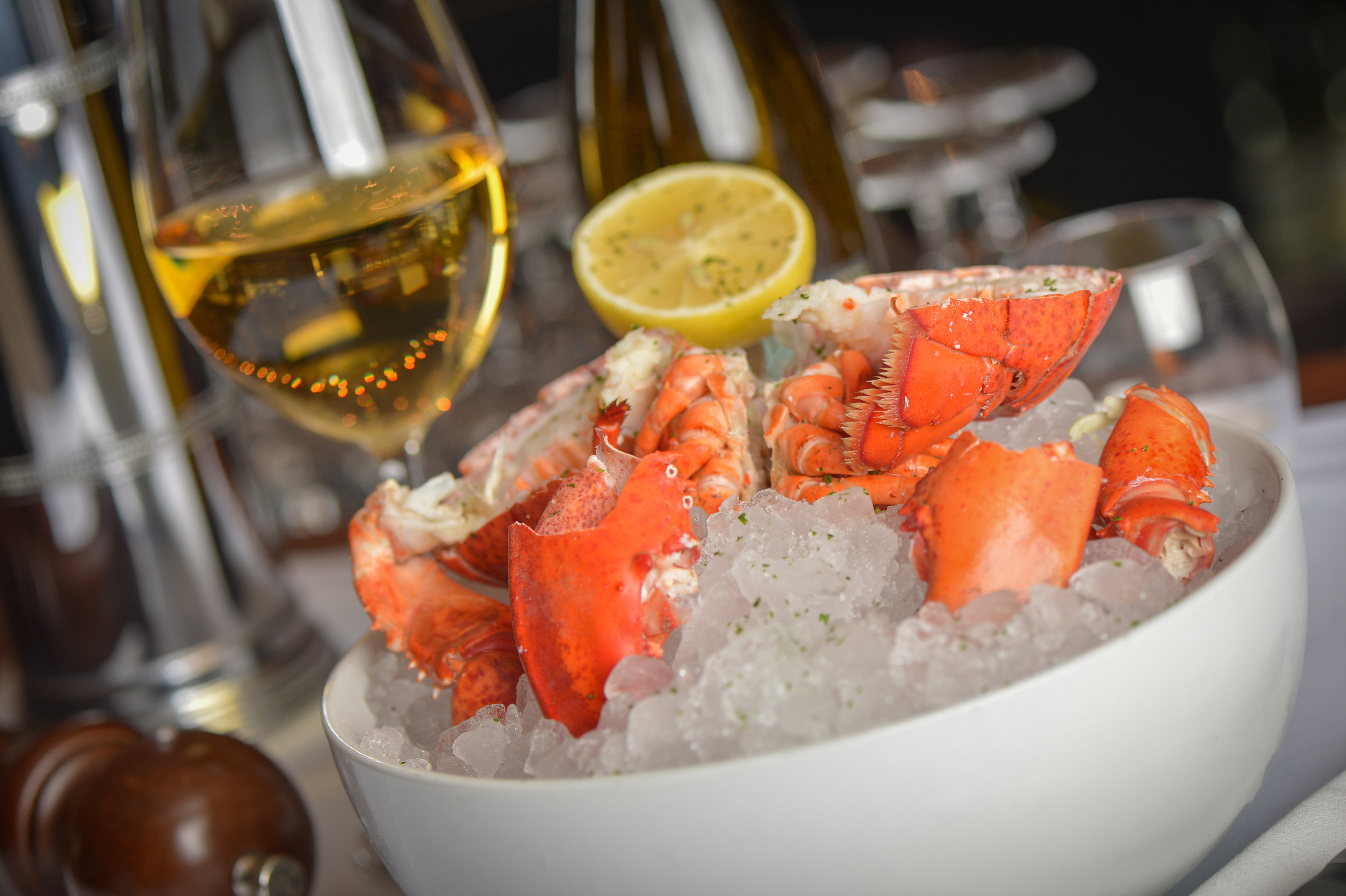 Maine Lobster Cocktail