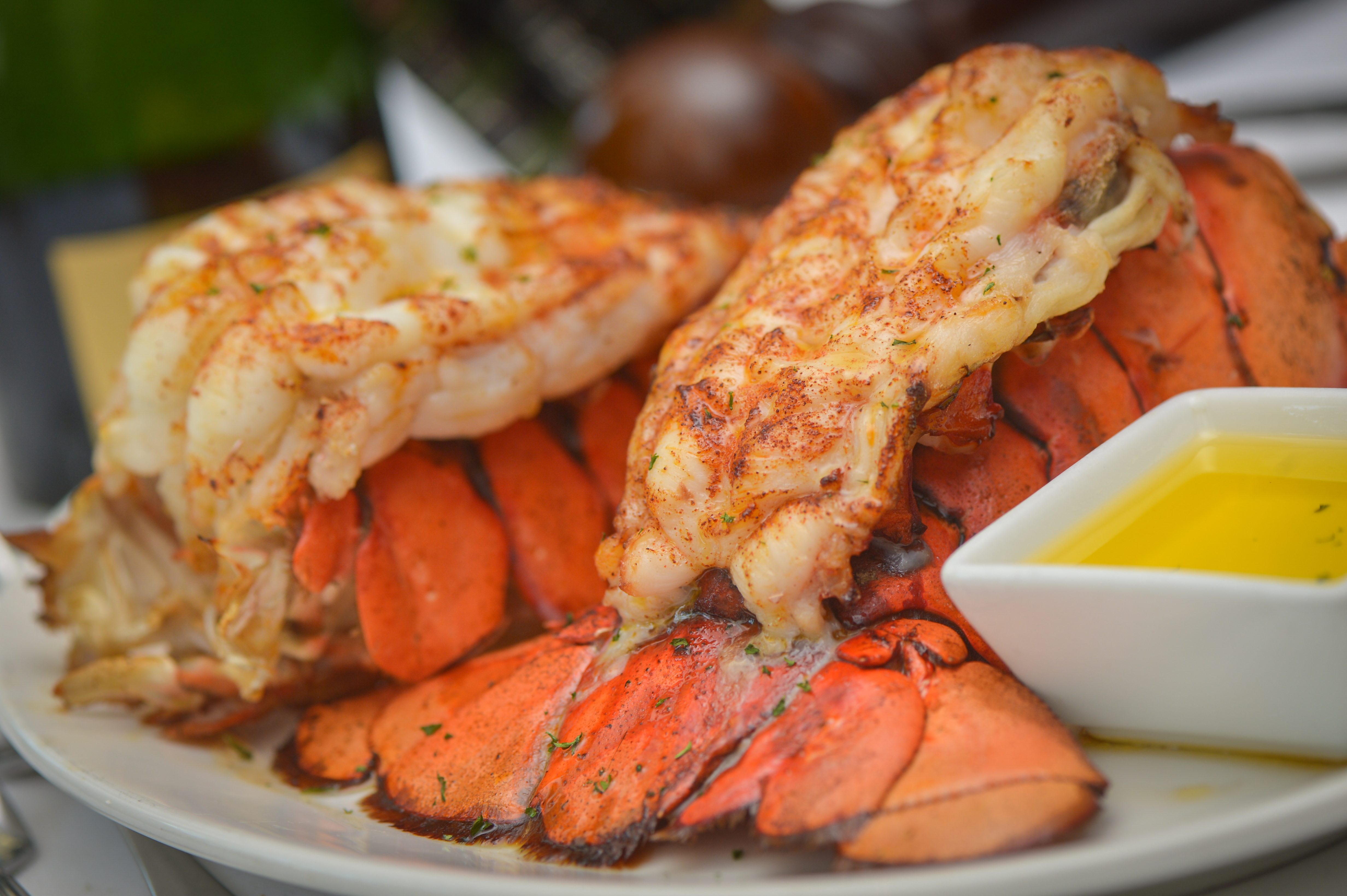 Twin Lobster Tails