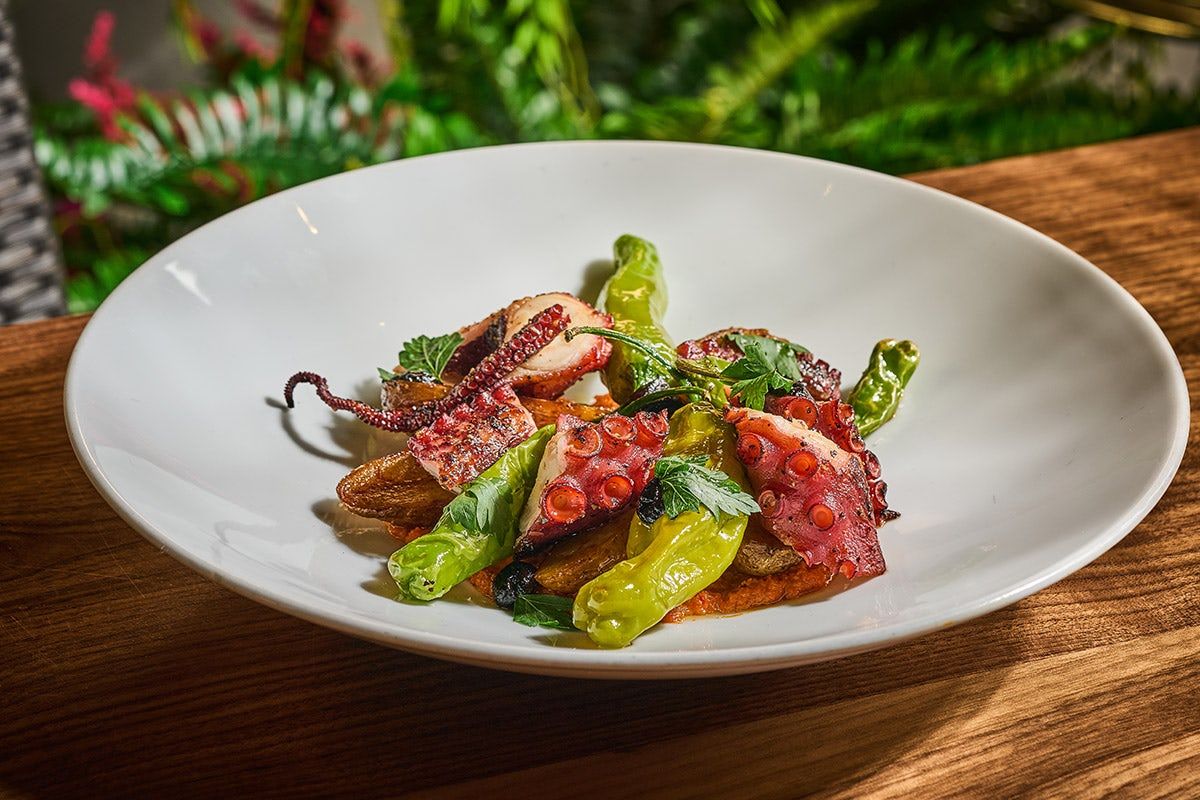 Charred Spanish Octopus