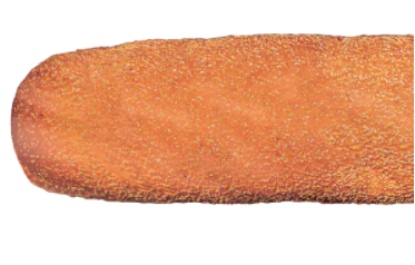 Pão Integral 9 Grãos 30 Cm