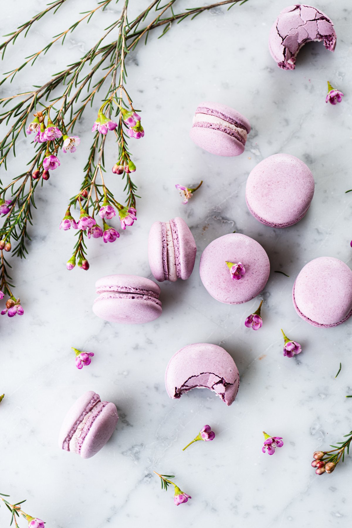 LEVENDULA MACARON