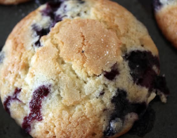 Buttermilk Blueberry Muffin