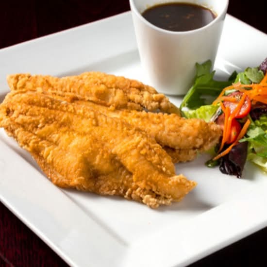 SUCCULENT CATFISH