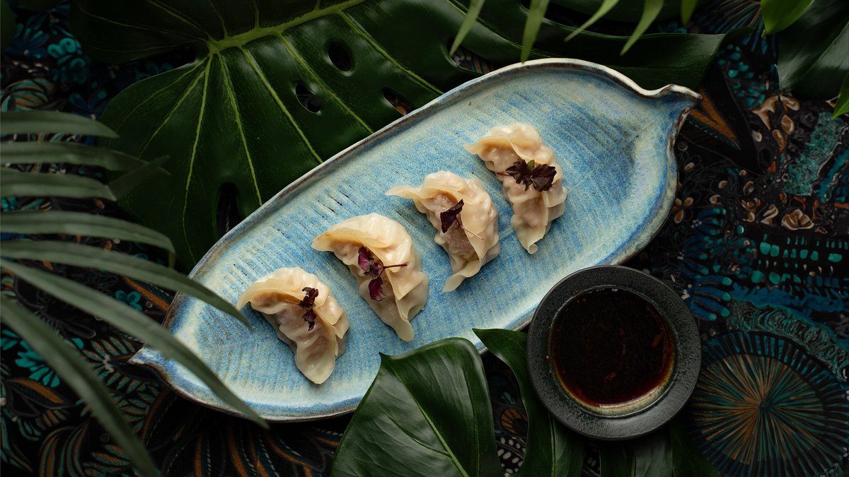 Pork Gyoza