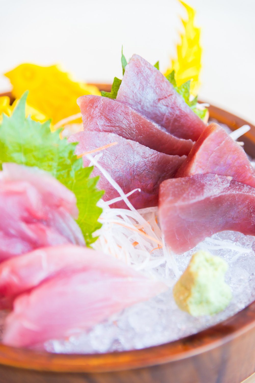 Maguro Sashimi