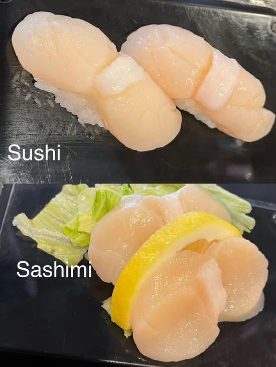 Scallop
