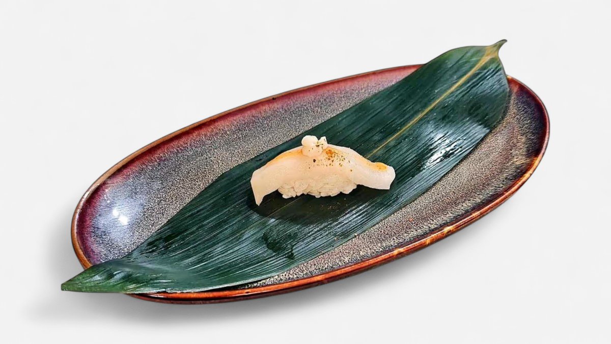 NGR Ibodai-White Tuna