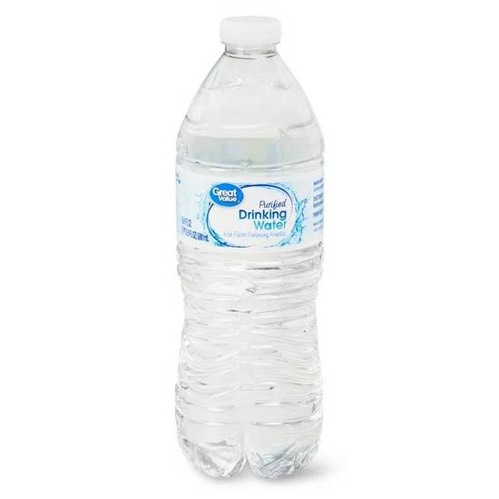 Bottled Water 16.9 OZ