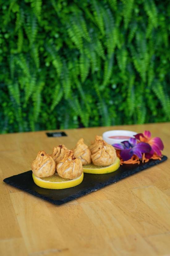 CHICKEN WONTONS