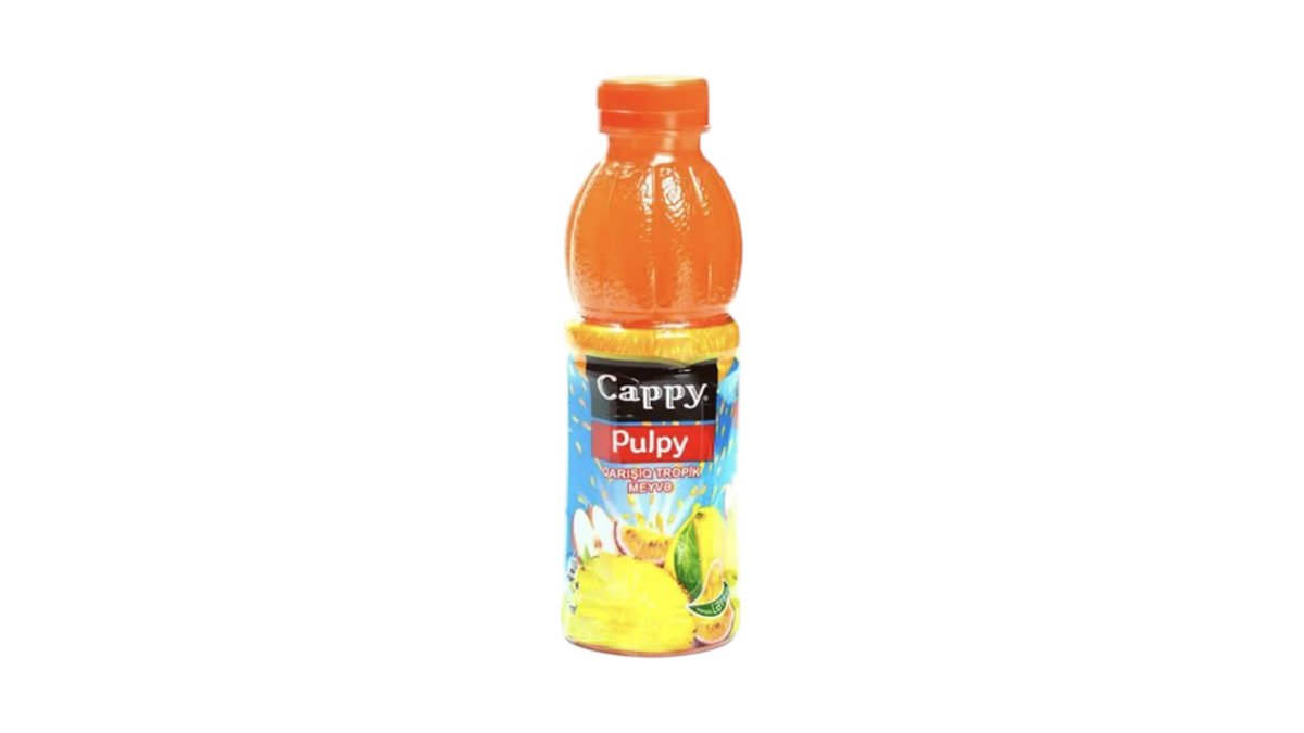 Cappy Şaftalı (500 ML)