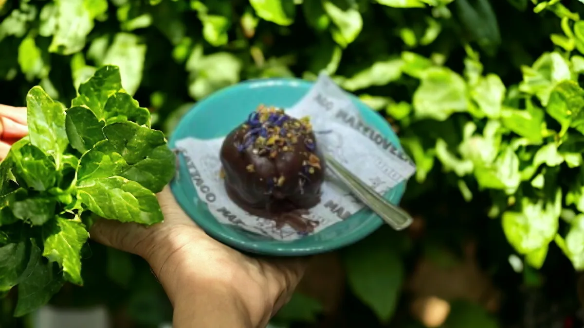 Vegan ball