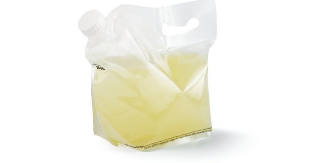 Gallon Lemonade