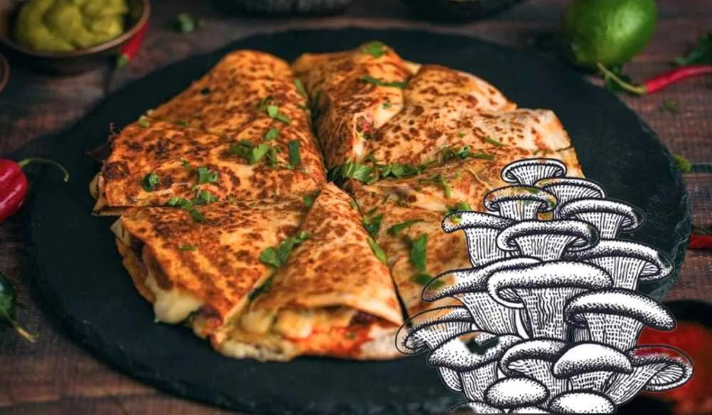 QUESADILLA BOCZNIAK.