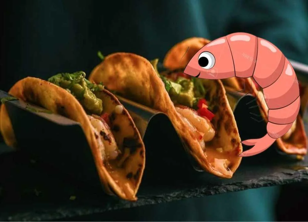 TACOS KREWETKI.