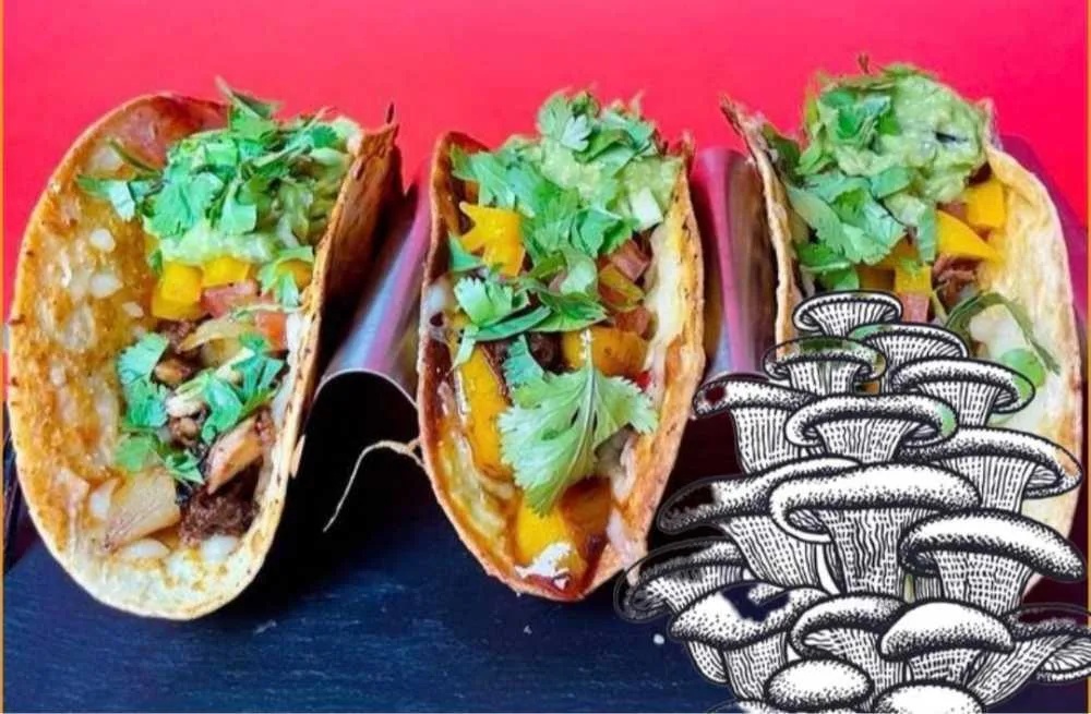 TACOS Z BOCZNIAKIEM.