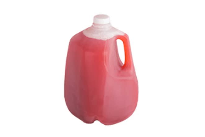 Paradise Punch Gallon