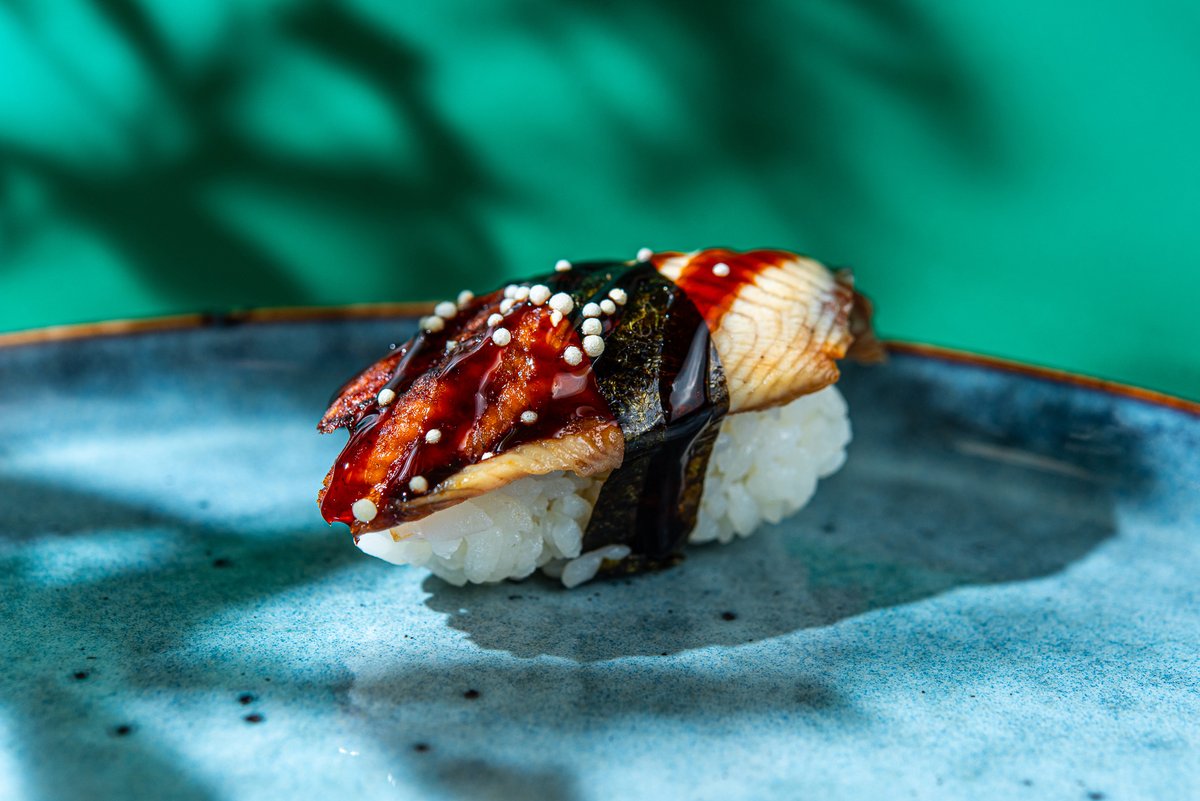 62. Angerja nigiri