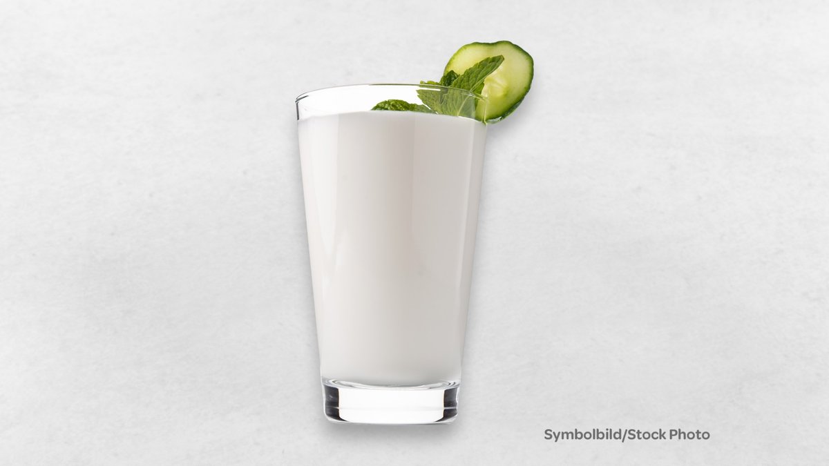 Salt Lassi 0.5l