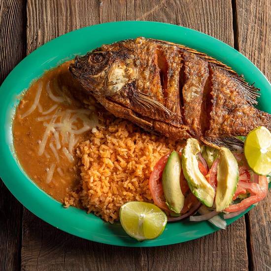 Tilapia