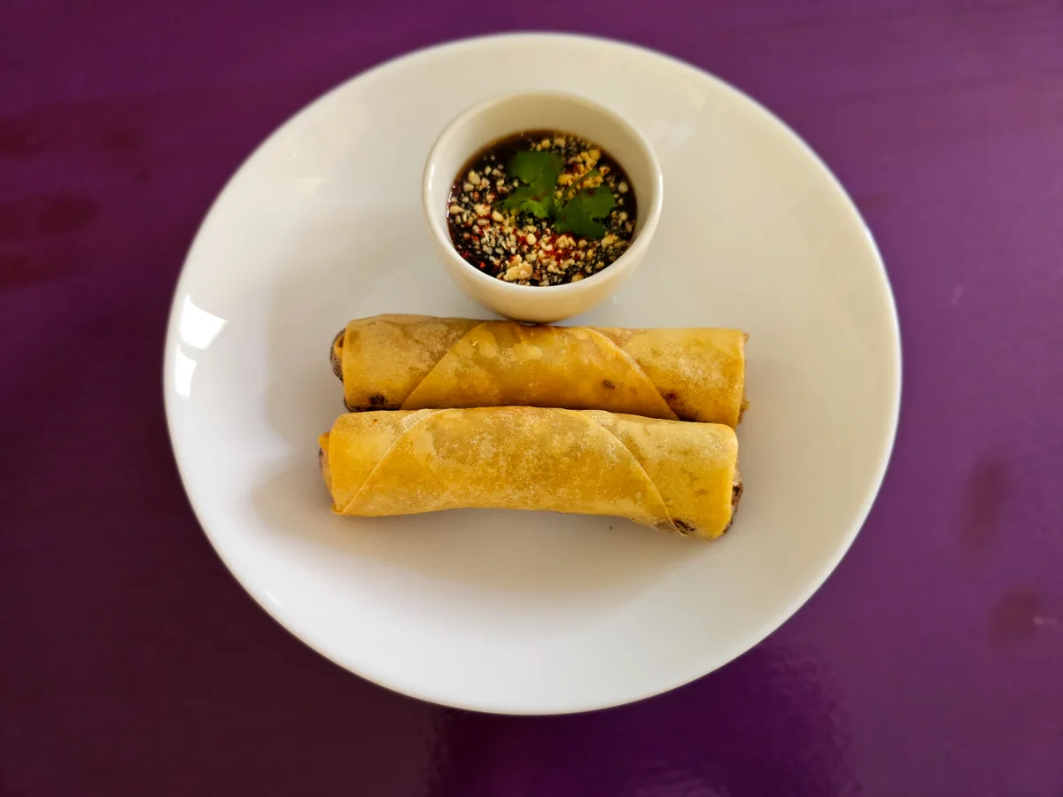 Vegetarian spring roll