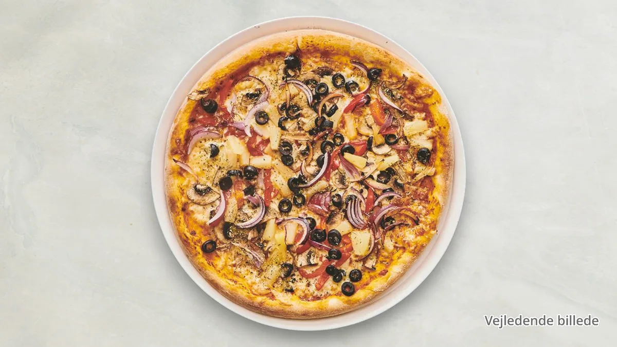 Vegetariana (V)