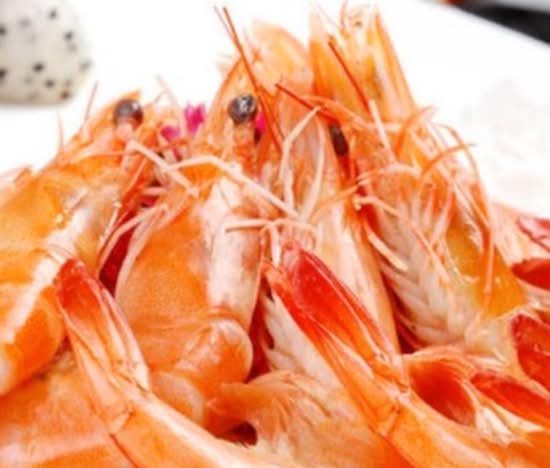 Shrimp