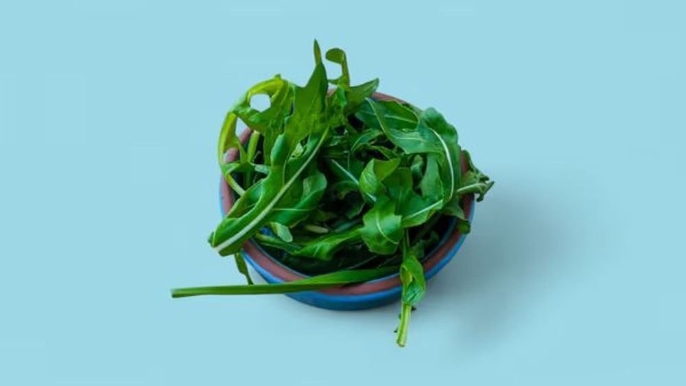 Rucola