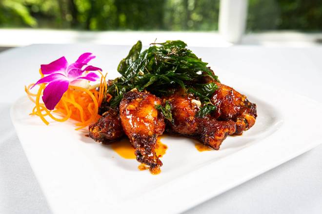 Soden's Wings