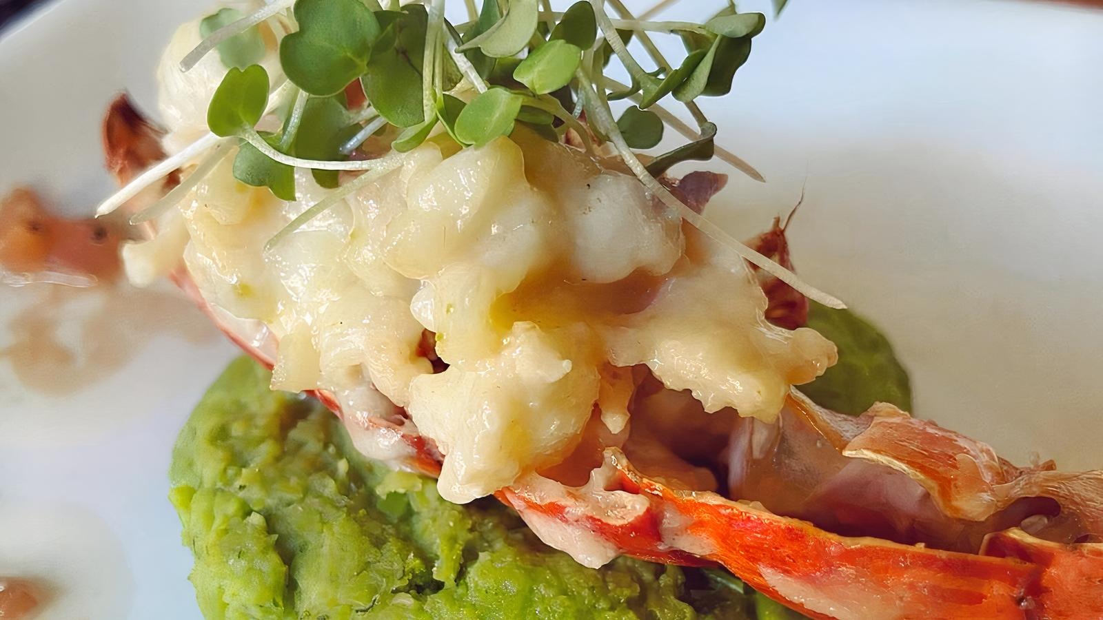 Grouper with Lobster